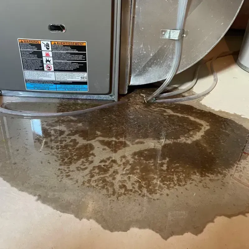 Appliance Leak Cleanup in Boonsboro, MD